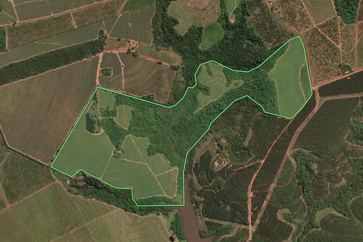 Imagem de satélite do imóvel rural em Mogi Guaçu (SP), com o contorno declarado no CAR desenhado por cima.