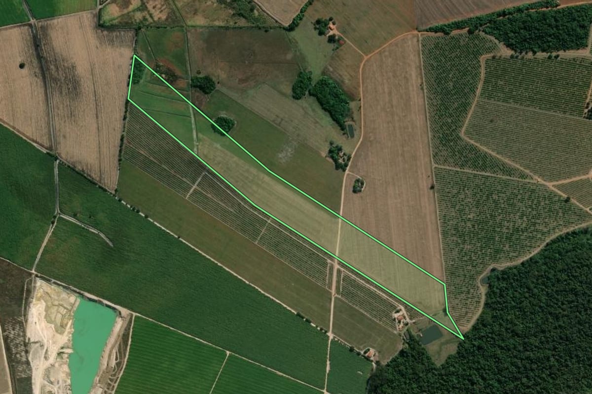 Imagem de satélite do imóvel rural em Mogi Guaçu (SP), com o contorno declarado no CAR desenhado por cima.