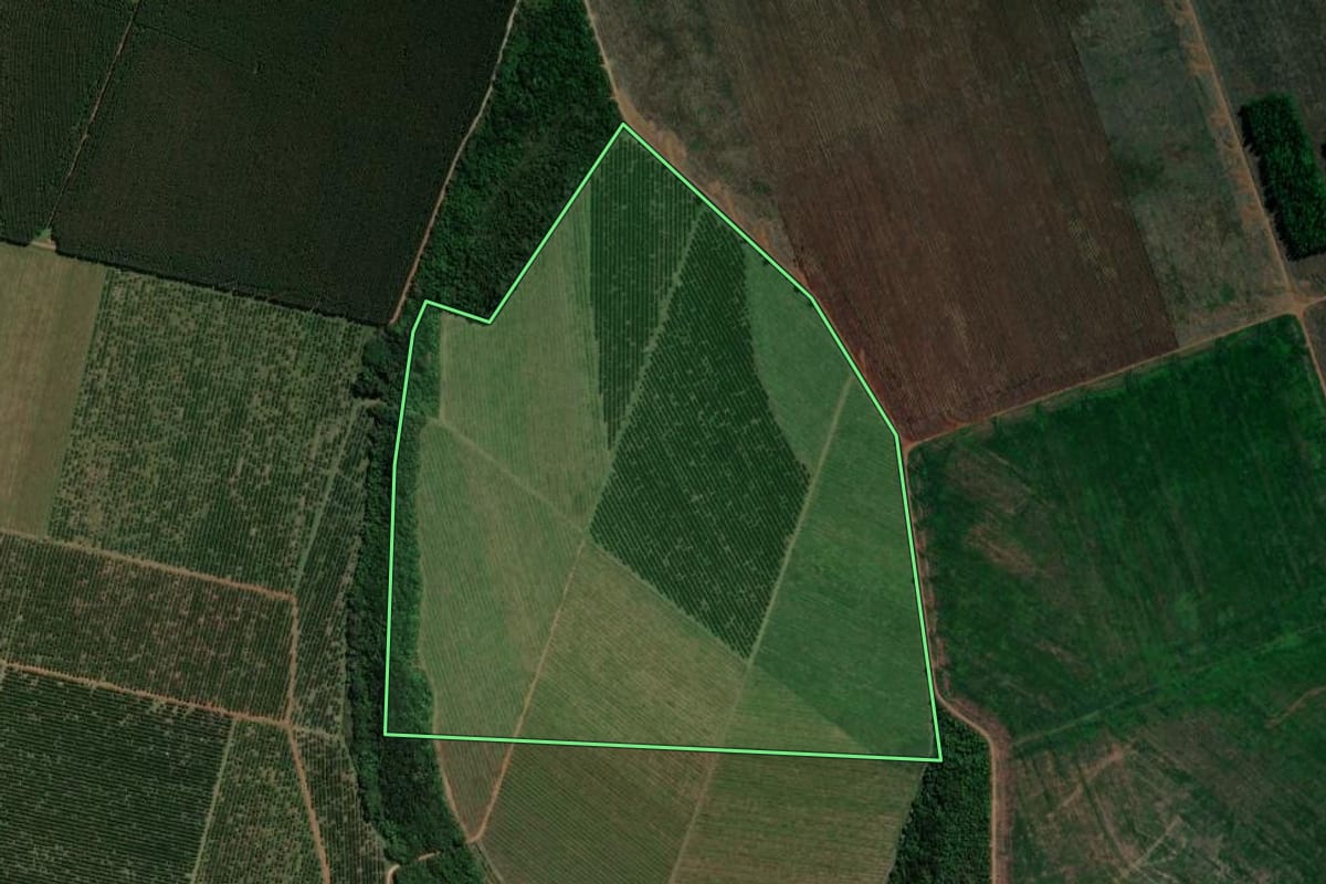 Imagem de satélite do imóvel rural em Mogi Guaçu (SP), com o contorno declarado no CAR desenhado por cima.