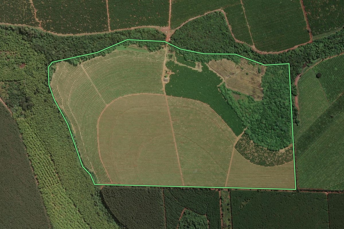 Imagem de satélite do imóvel rural em Mogi Guaçu (SP), com o contorno declarado no CAR desenhado por cima.