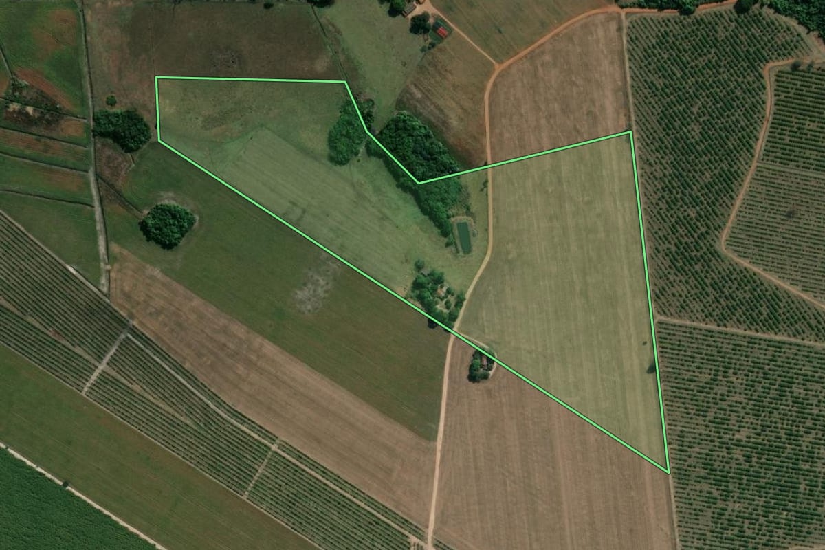Imagem de satélite do imóvel rural em Mogi Guaçu (SP), com o contorno declarado no CAR desenhado por cima.