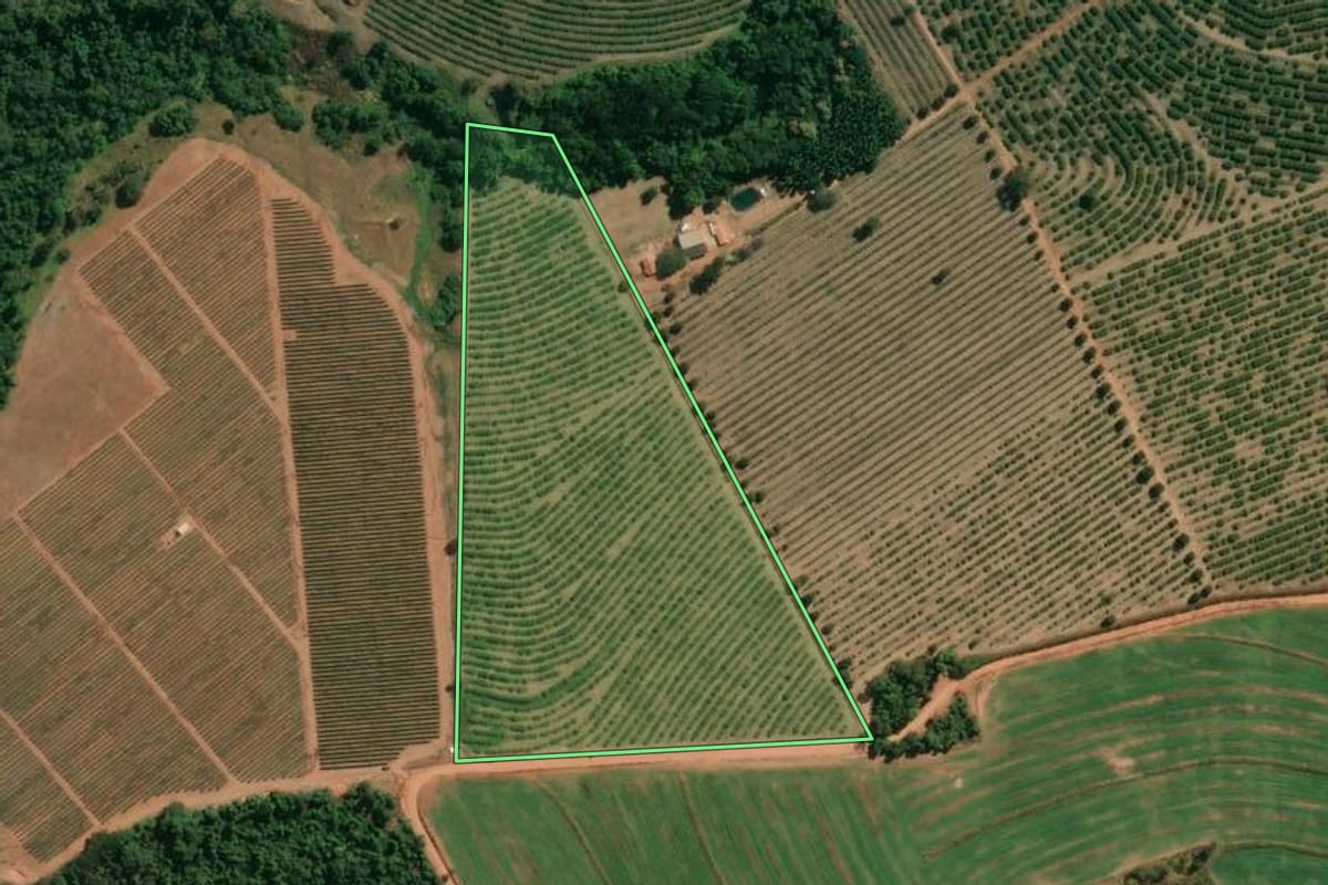 Imagem de satélite do imóvel rural em Mogi Guaçu (SP), com o contorno declarado no CAR desenhado por cima.