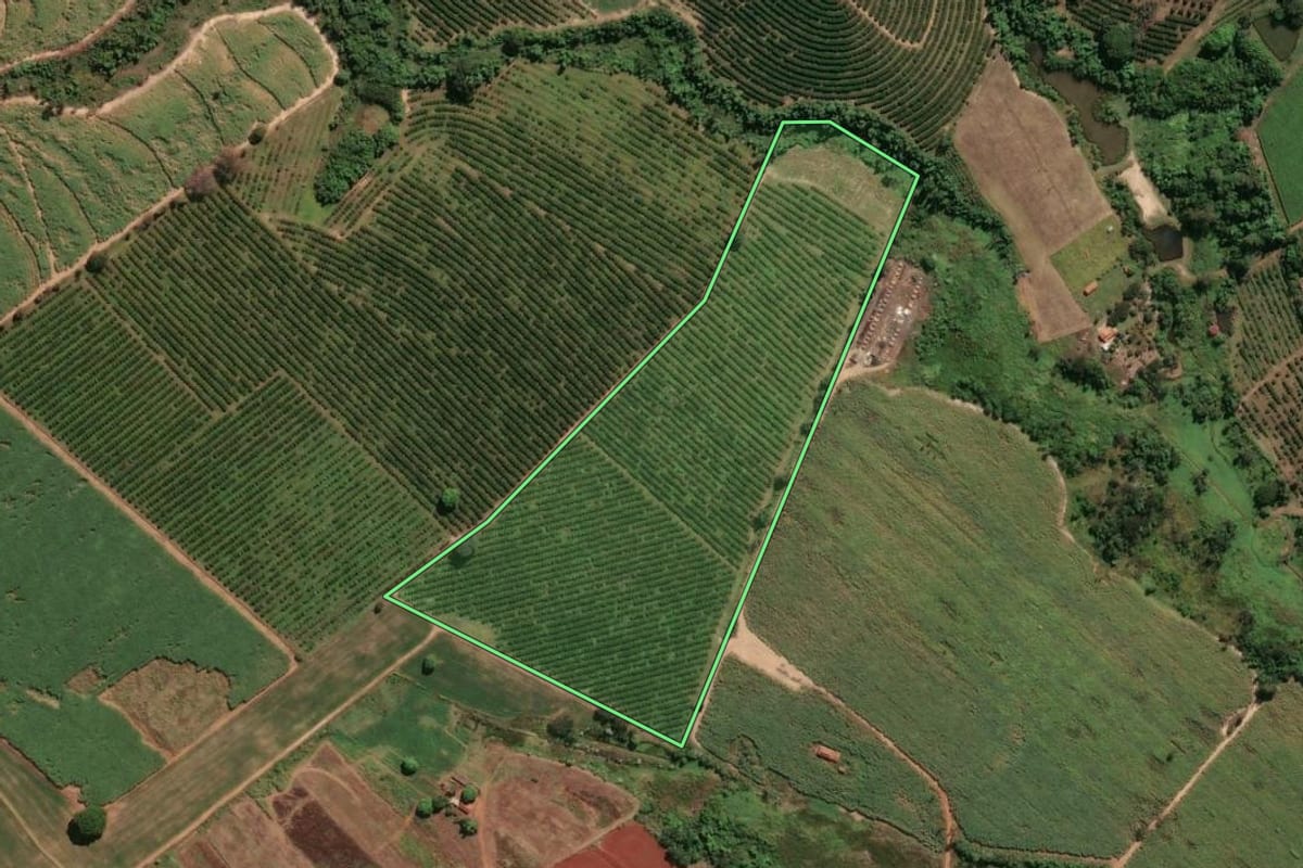 Imagem de satélite do imóvel rural em Mogi Guaçu (SP), com o contorno declarado no CAR desenhado por cima.