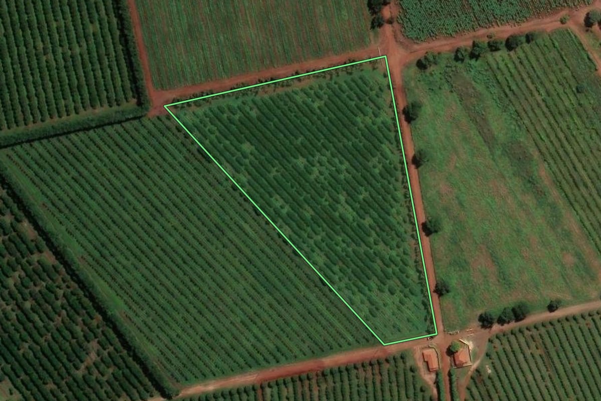 Imagem de satélite do imóvel rural em Mogi Guaçu (SP), com o contorno declarado no CAR desenhado por cima.