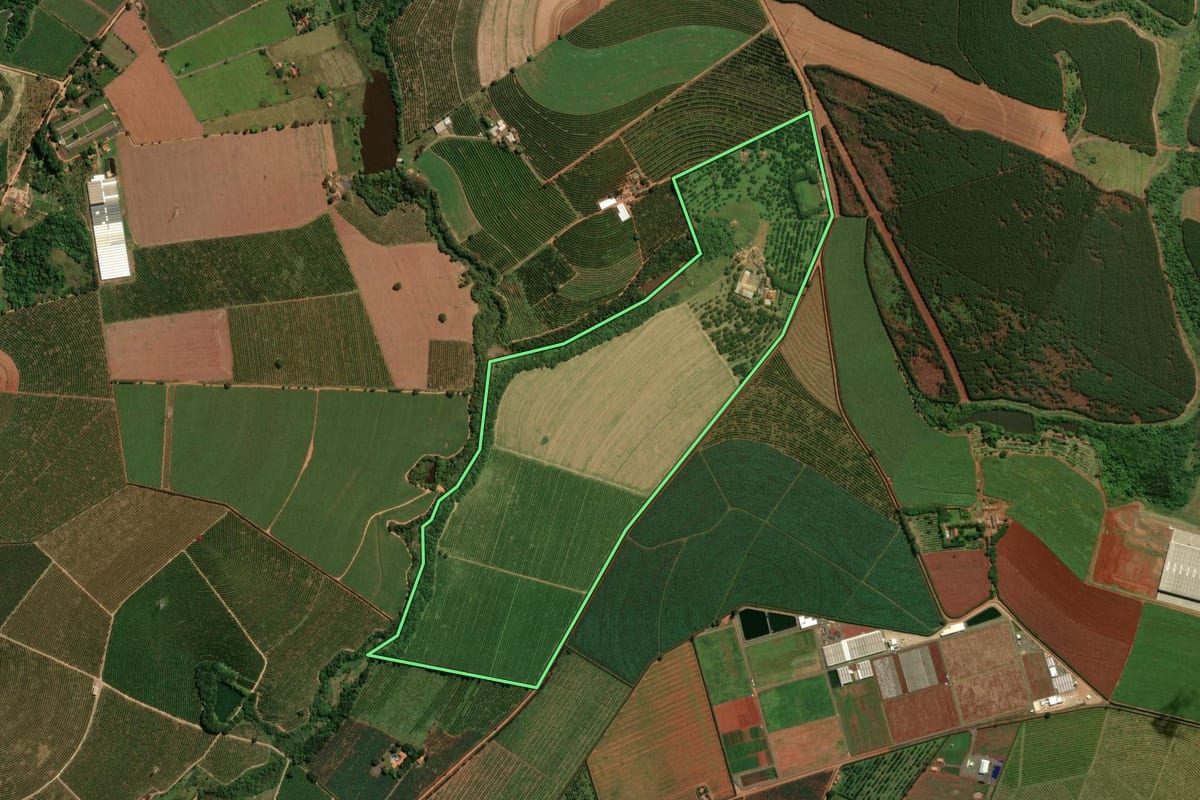 Imagem de satélite do imóvel rural em Mogi Mirim (SP), com o contorno declarado no CAR desenhado por cima.