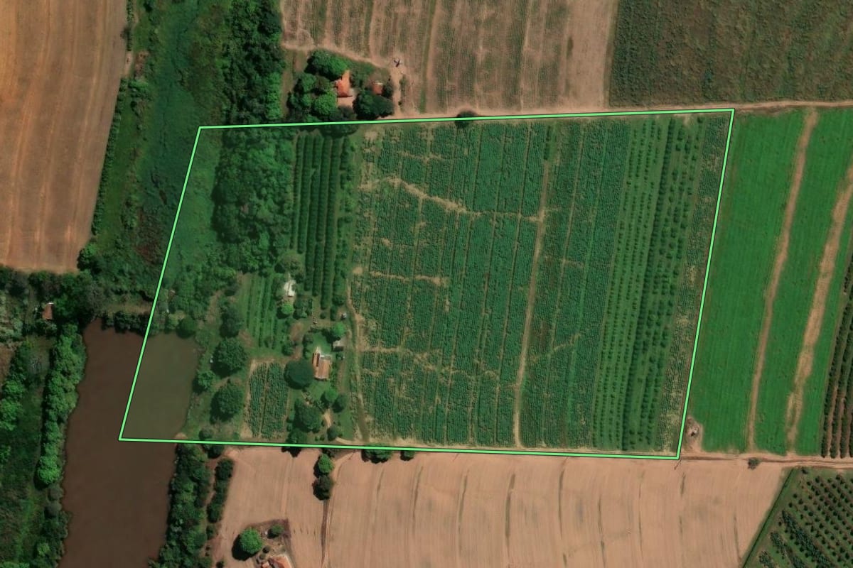 Imagem de satélite do imóvel rural em Mogi Mirim (SP), com o contorno declarado no CAR desenhado por cima.