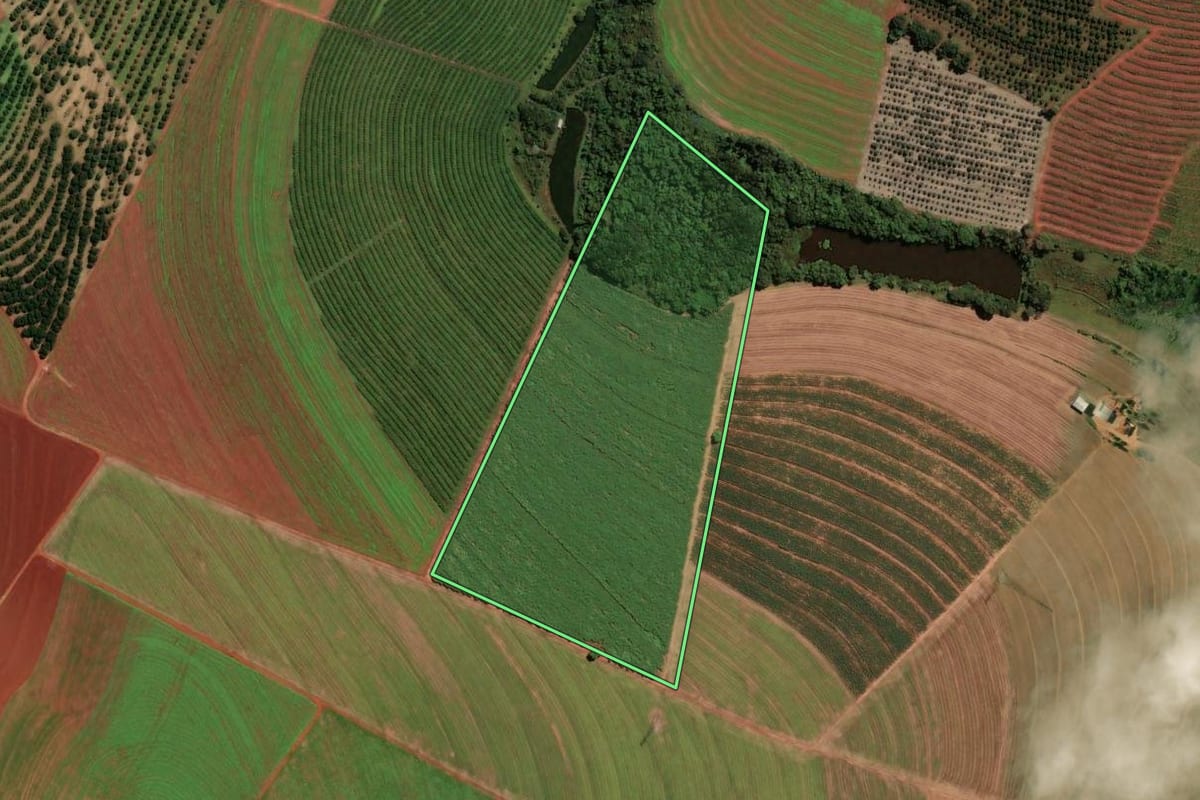 Imagem de satélite do imóvel rural em Mogi Mirim (SP), com o contorno declarado no CAR desenhado por cima.