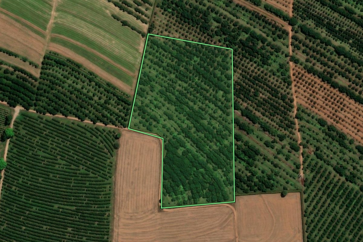 Imagem de satélite do imóvel rural em Mogi Mirim (SP), com o contorno declarado no CAR desenhado por cima.