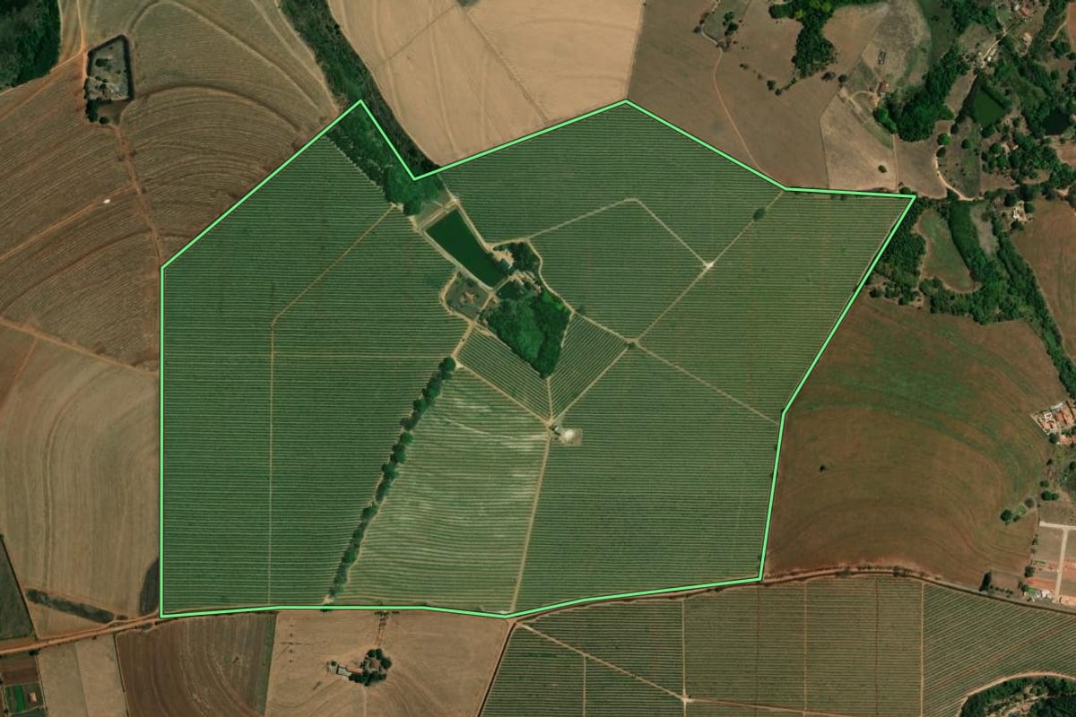 Imagem de satélite do imóvel rural em Mogi Mirim (SP), com o contorno declarado no CAR desenhado por cima.