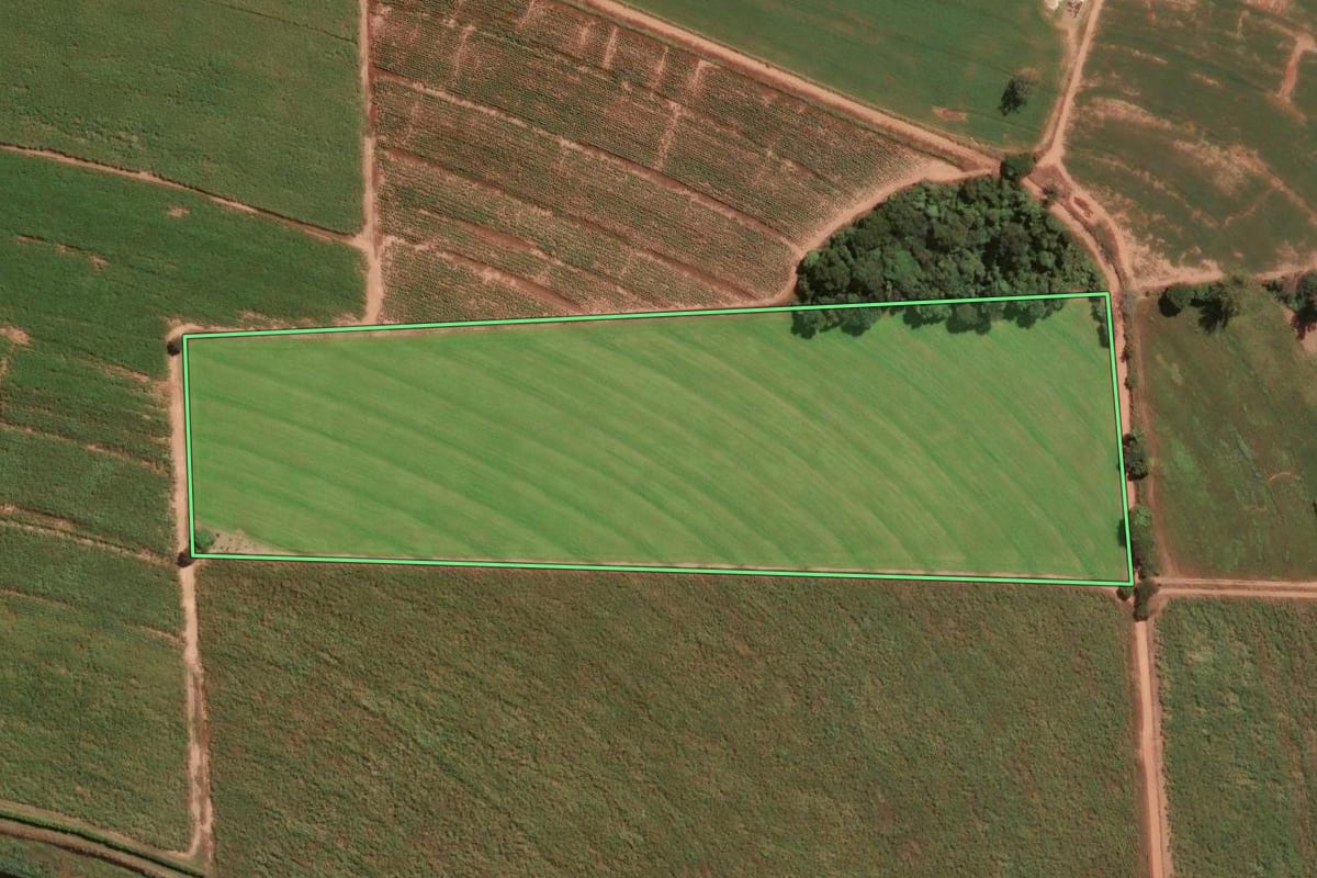 Imagem de satélite do imóvel rural em Mogi Mirim (SP), com o contorno declarado no CAR desenhado por cima.