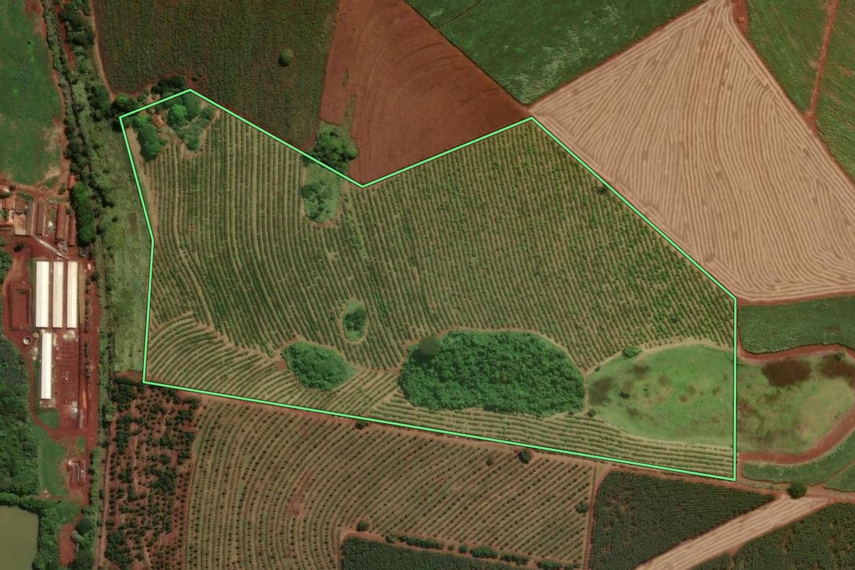 Imagem de satélite do imóvel rural em Mogi Mirim (SP), com o contorno declarado no CAR desenhado por cima.