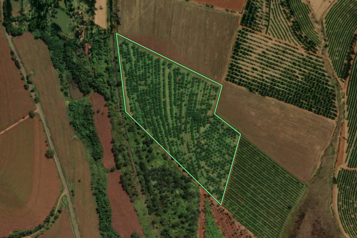 Imagem de satélite do imóvel rural em Mogi Mirim (SP), com o contorno declarado no CAR desenhado por cima.