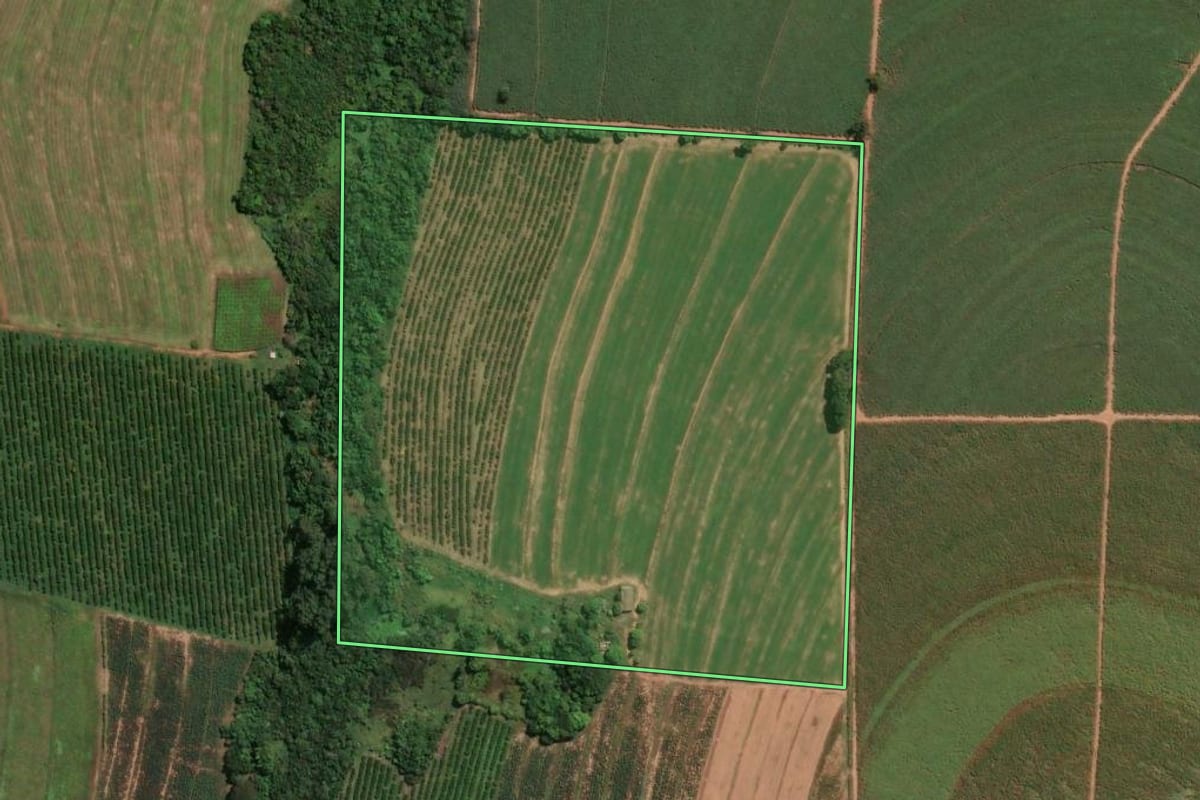 Imagem de satélite do imóvel rural em Mogi Mirim (SP), com o contorno declarado no CAR desenhado por cima.