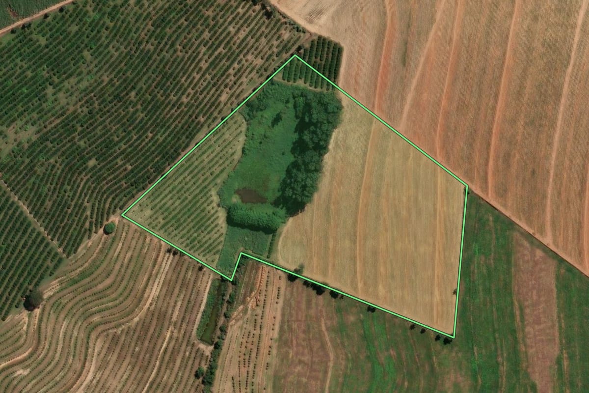Imagem de satélite do imóvel rural em Mogi Mirim (SP), com o contorno declarado no CAR desenhado por cima.