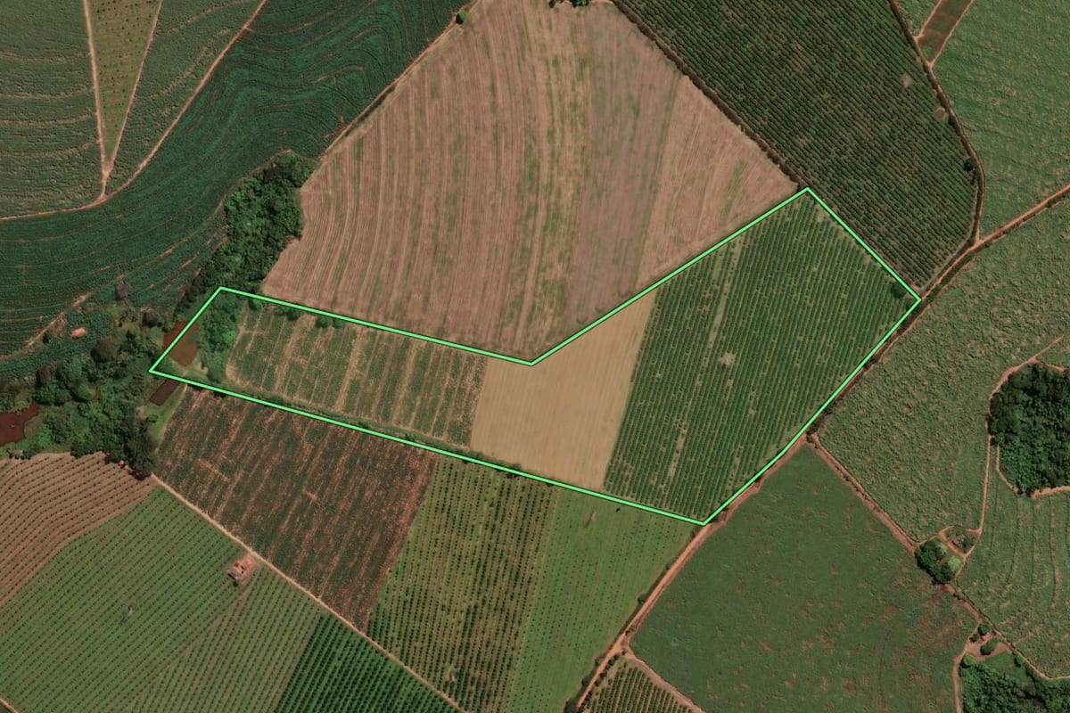 Imagem de satélite do imóvel rural em Mogi Mirim (SP), com o contorno declarado no CAR desenhado por cima.