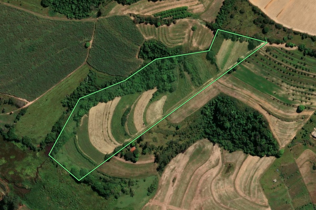 Imagem de satélite do imóvel rural em Mogi Mirim (SP), com o contorno declarado no CAR desenhado por cima.