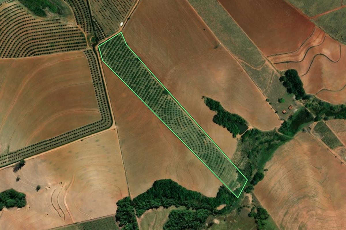 Imagem de satélite do imóvel rural em Mogi Mirim (SP), com o contorno declarado no CAR desenhado por cima.