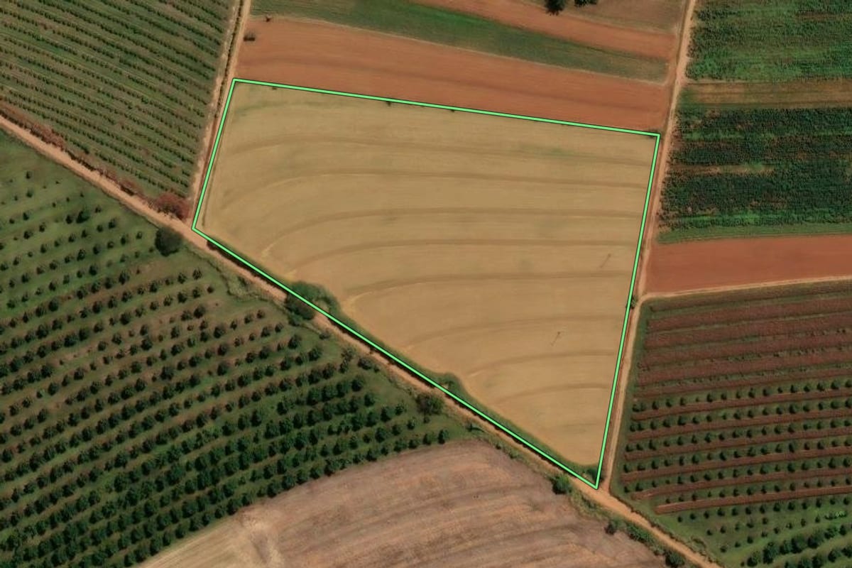 Imagem de satélite do imóvel rural em Mogi Mirim (SP), com o contorno declarado no CAR desenhado por cima.