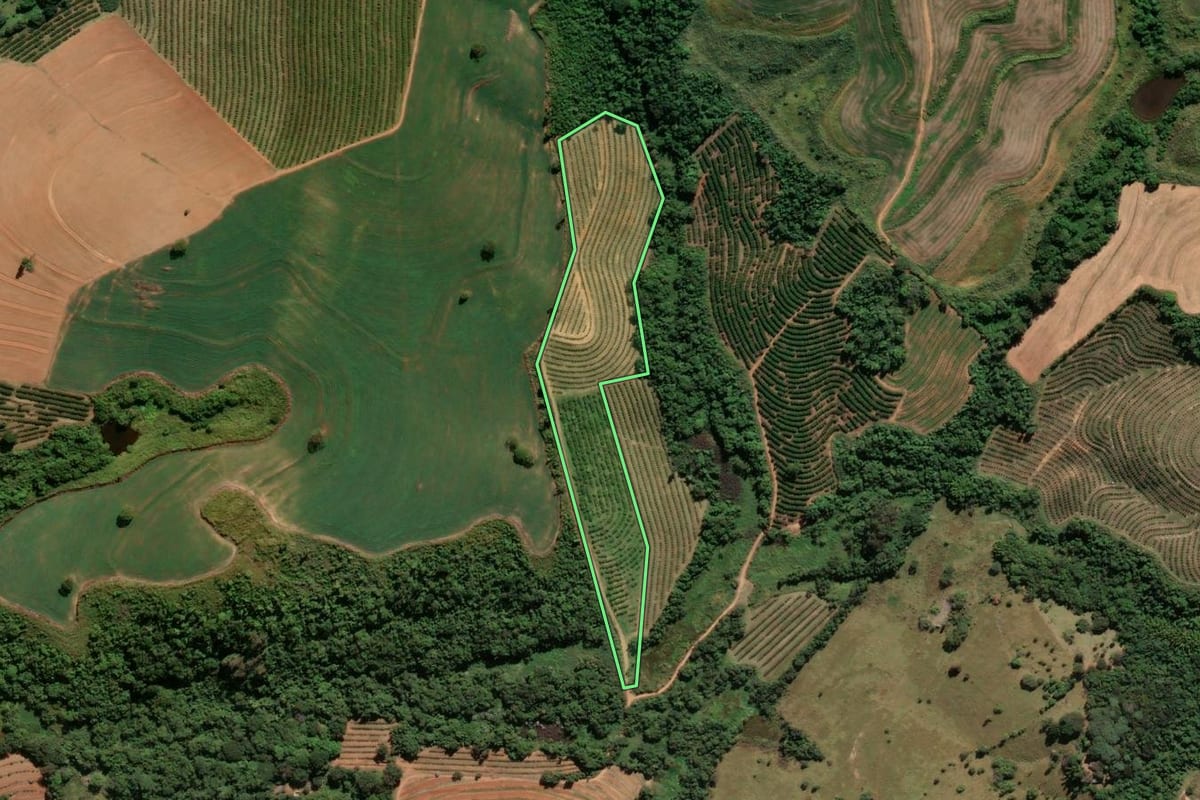 Imagem de satélite do imóvel rural em Mogi Mirim (SP), com o contorno declarado no CAR desenhado por cima.