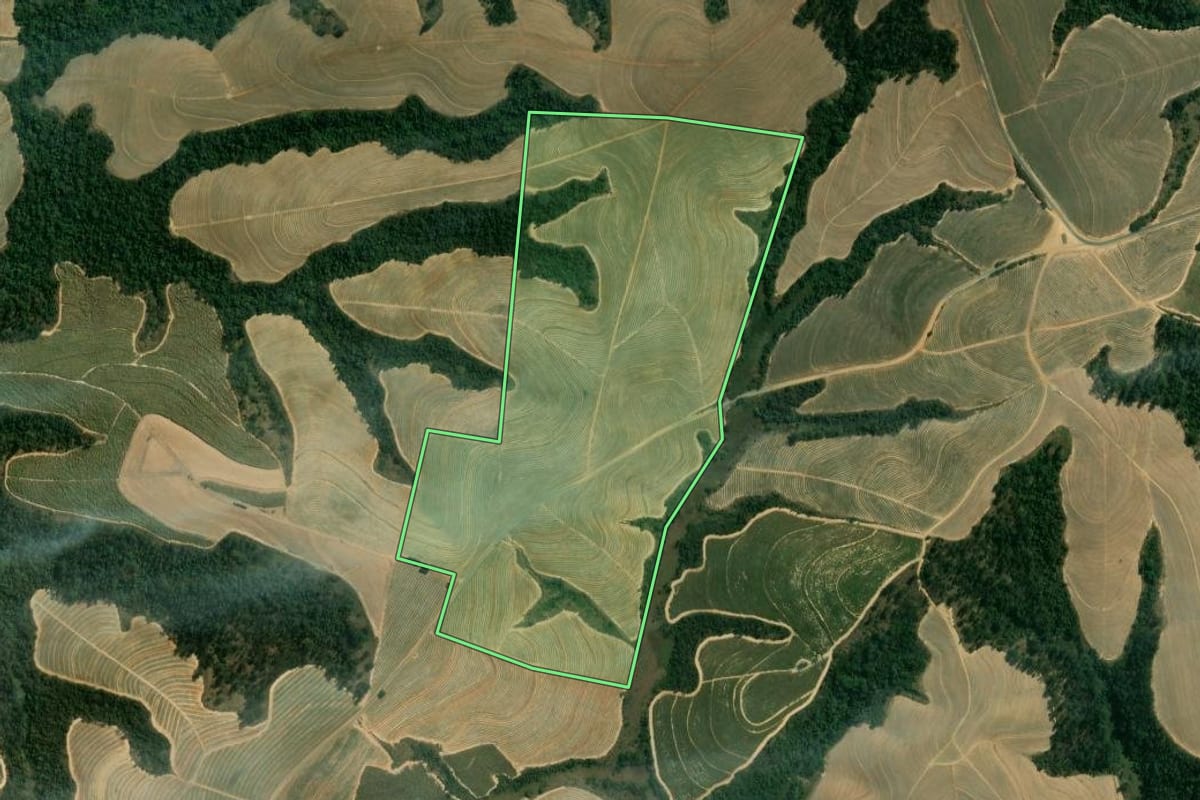 Imagem de satélite do imóvel rural em Mombuca (SP), com o contorno declarado no CAR desenhado por cima.