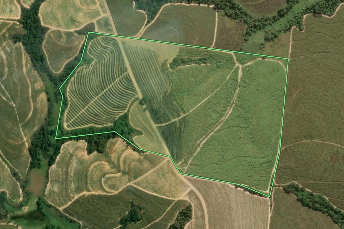 Imagem de satélite do imóvel rural em Mombuca (SP), com o contorno declarado no CAR desenhado por cima.