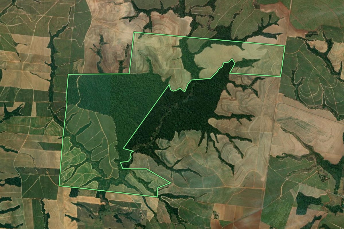 Imagem de satélite do imóvel rural em Mombuca (SP), com o contorno declarado no CAR desenhado por cima.