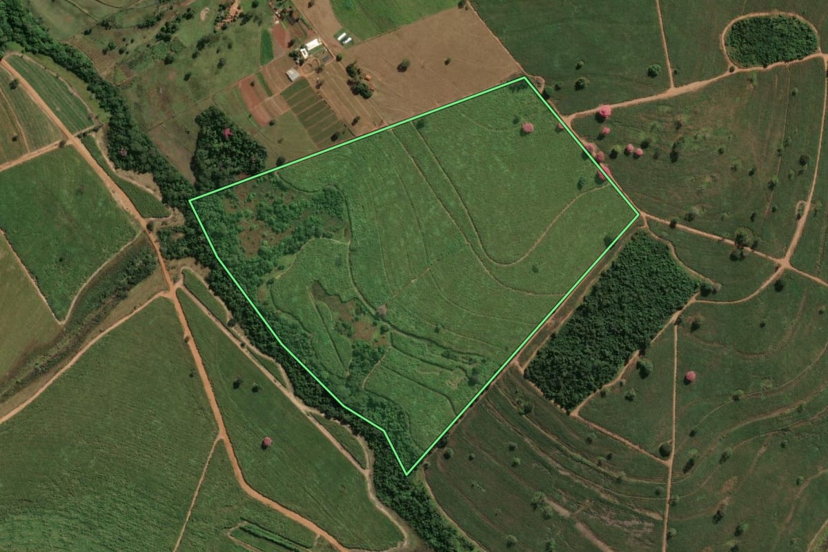 Imagem de satélite do imóvel rural em Monções (SP), com o contorno declarado no CAR desenhado por cima.