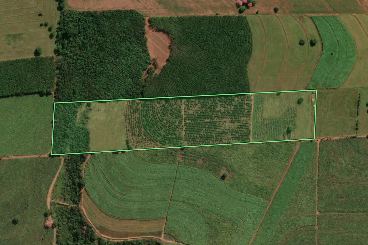 Imagem de satélite do imóvel rural em Monções (SP), com o contorno declarado no CAR desenhado por cima.