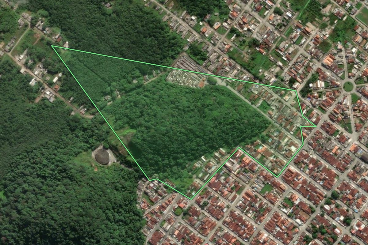 Imagem de satélite do imóvel rural em Mongaguá (SP), com o contorno declarado no CAR desenhado por cima.