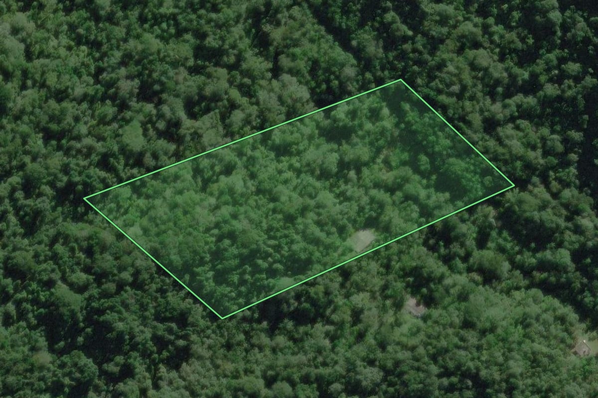 Imagem de satélite do imóvel rural em Mongaguá (SP), com o contorno declarado no CAR desenhado por cima.