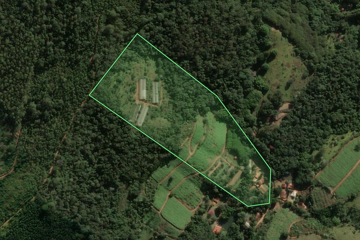 Imagem de satélite do imóvel rural em Monte Alegre do Sul (SP), com o contorno declarado no CAR desenhado por cima.