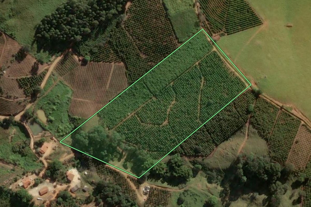 Imagem de satélite do imóvel rural em Monte Alegre do Sul (SP), com o contorno declarado no CAR desenhado por cima.