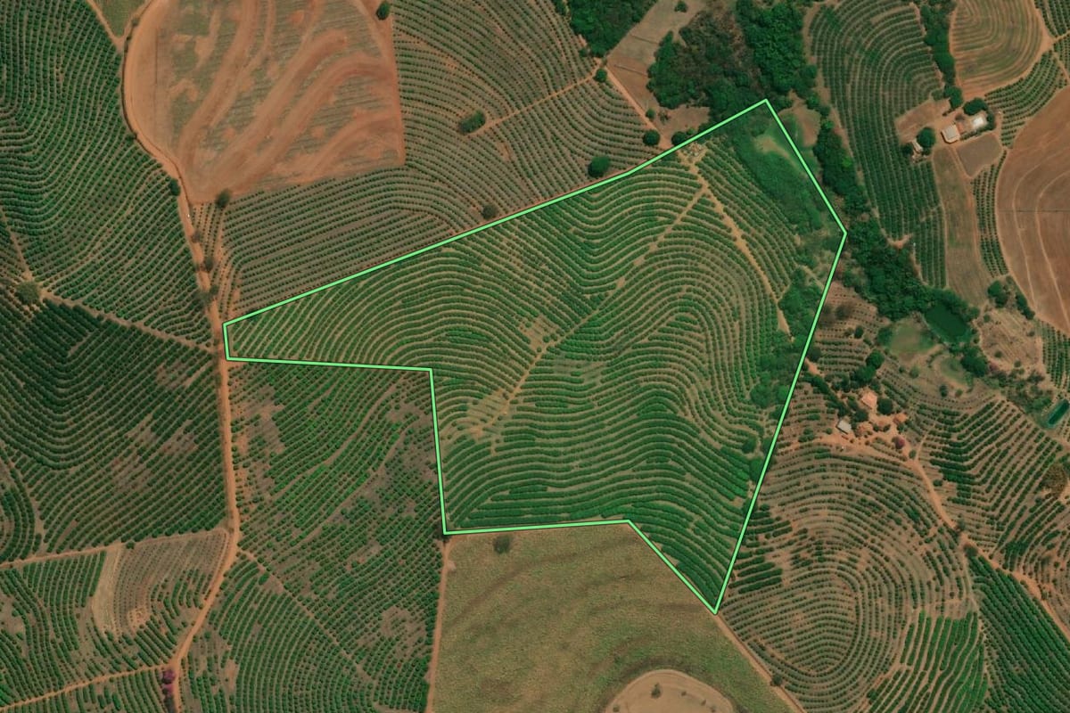 Imagem de satélite do imóvel rural em Monte Alto (SP), com o contorno declarado no CAR desenhado por cima.