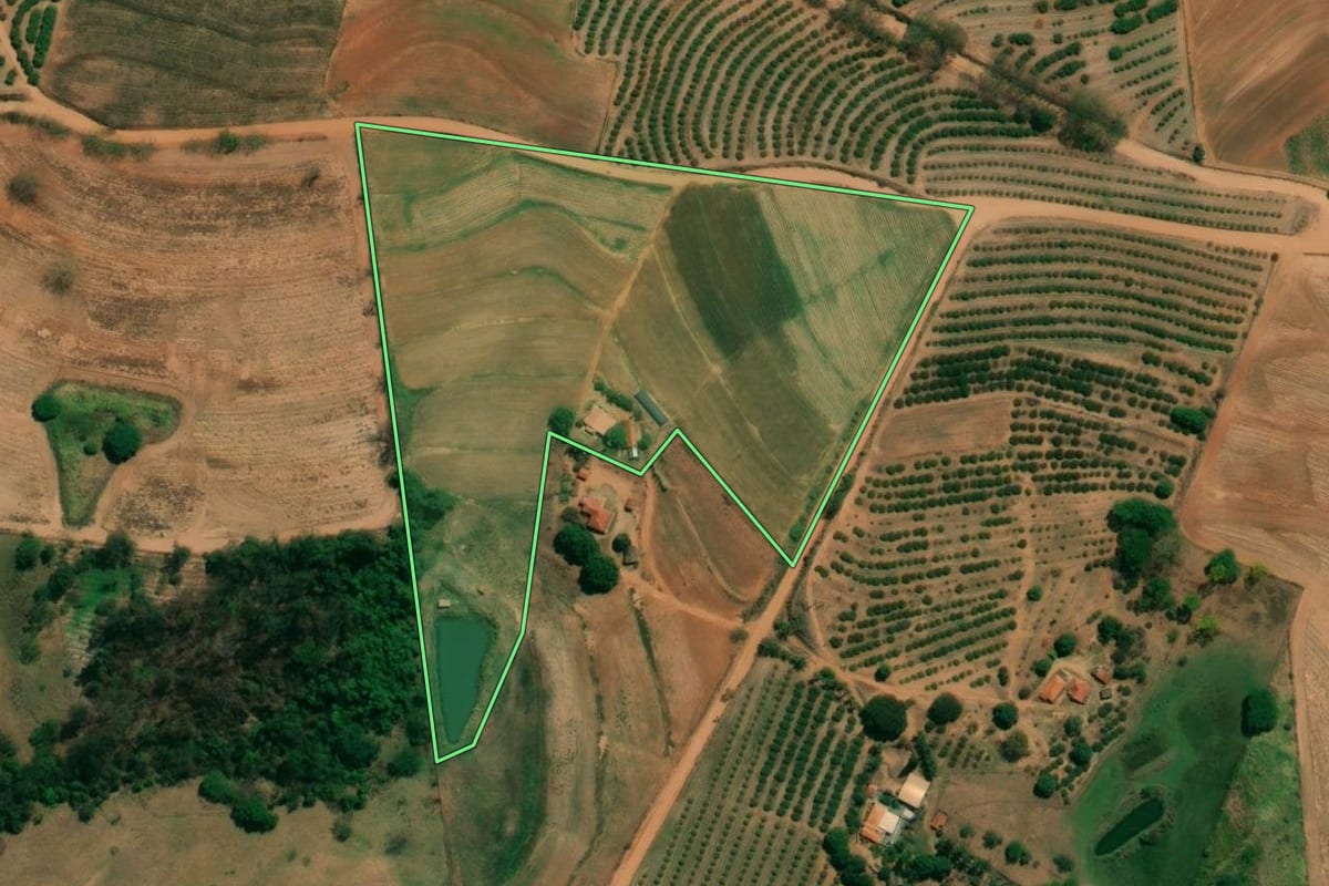 Imagem de satélite do imóvel rural em Monte Alto (SP), com o contorno declarado no CAR desenhado por cima.