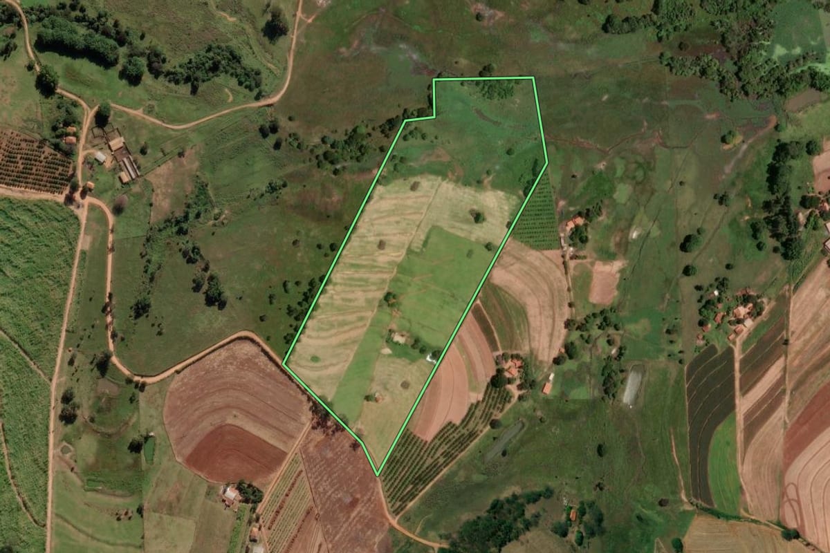 Imagem de satélite do imóvel rural em Monte Alto (SP), com o contorno declarado no CAR desenhado por cima.