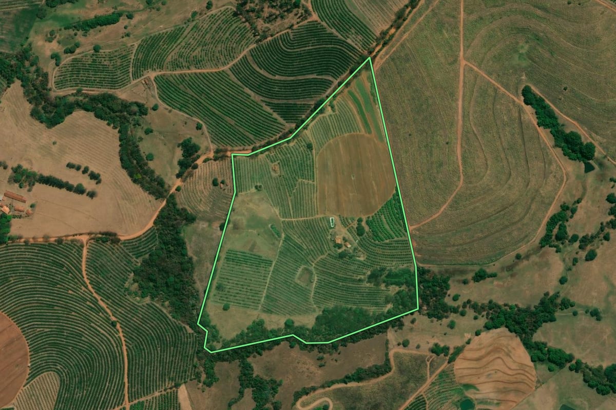 Imagem de satélite do imóvel rural em Monte Alto (SP), com o contorno declarado no CAR desenhado por cima.
