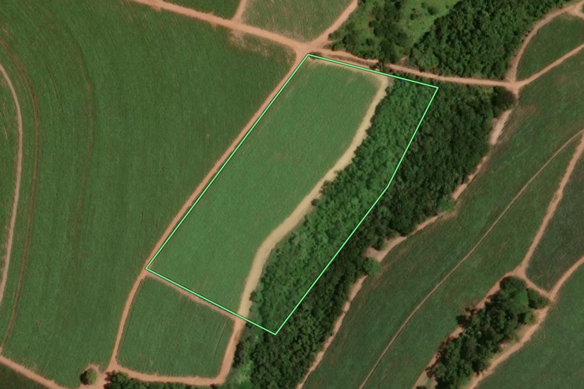 Imagem de satélite do imóvel rural em Monte Alto (SP), com o contorno declarado no CAR desenhado por cima.