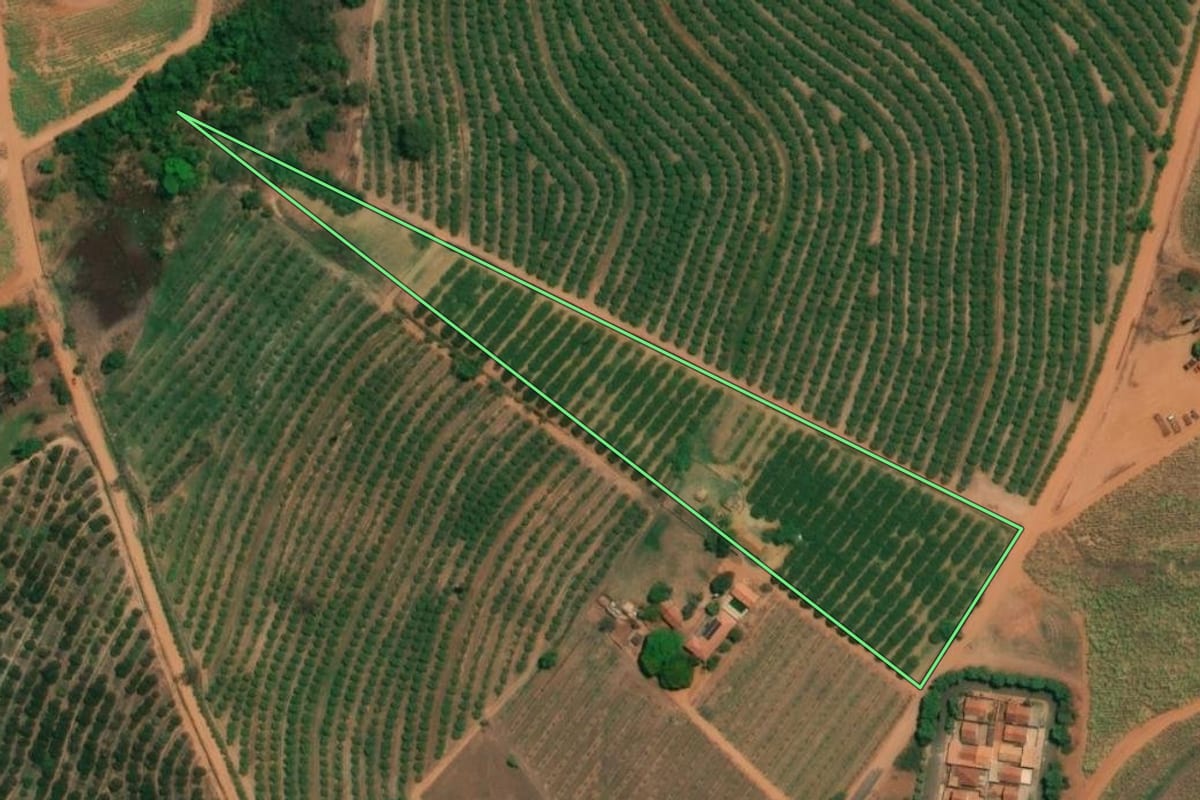 Imagem de satélite do imóvel rural em Monte Alto (SP), com o contorno declarado no CAR desenhado por cima.