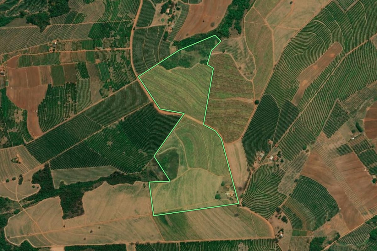 Imagem de satélite do imóvel rural em Monte Alto (SP), com o contorno declarado no CAR desenhado por cima.