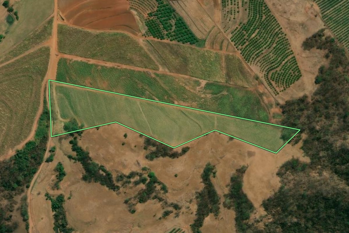 Imagem de satélite do imóvel rural em Monte Alto (SP), com o contorno declarado no CAR desenhado por cima.