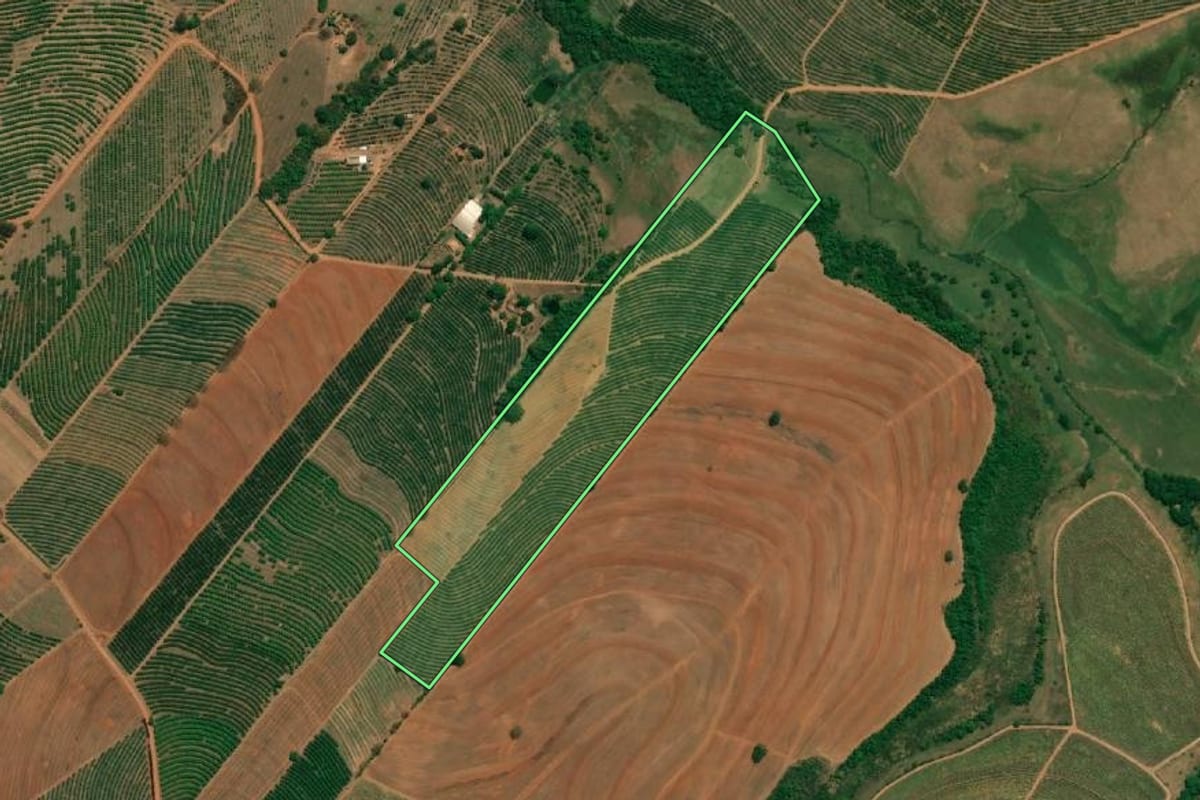 Imagem de satélite do imóvel rural em Monte Alto (SP), com o contorno declarado no CAR desenhado por cima.