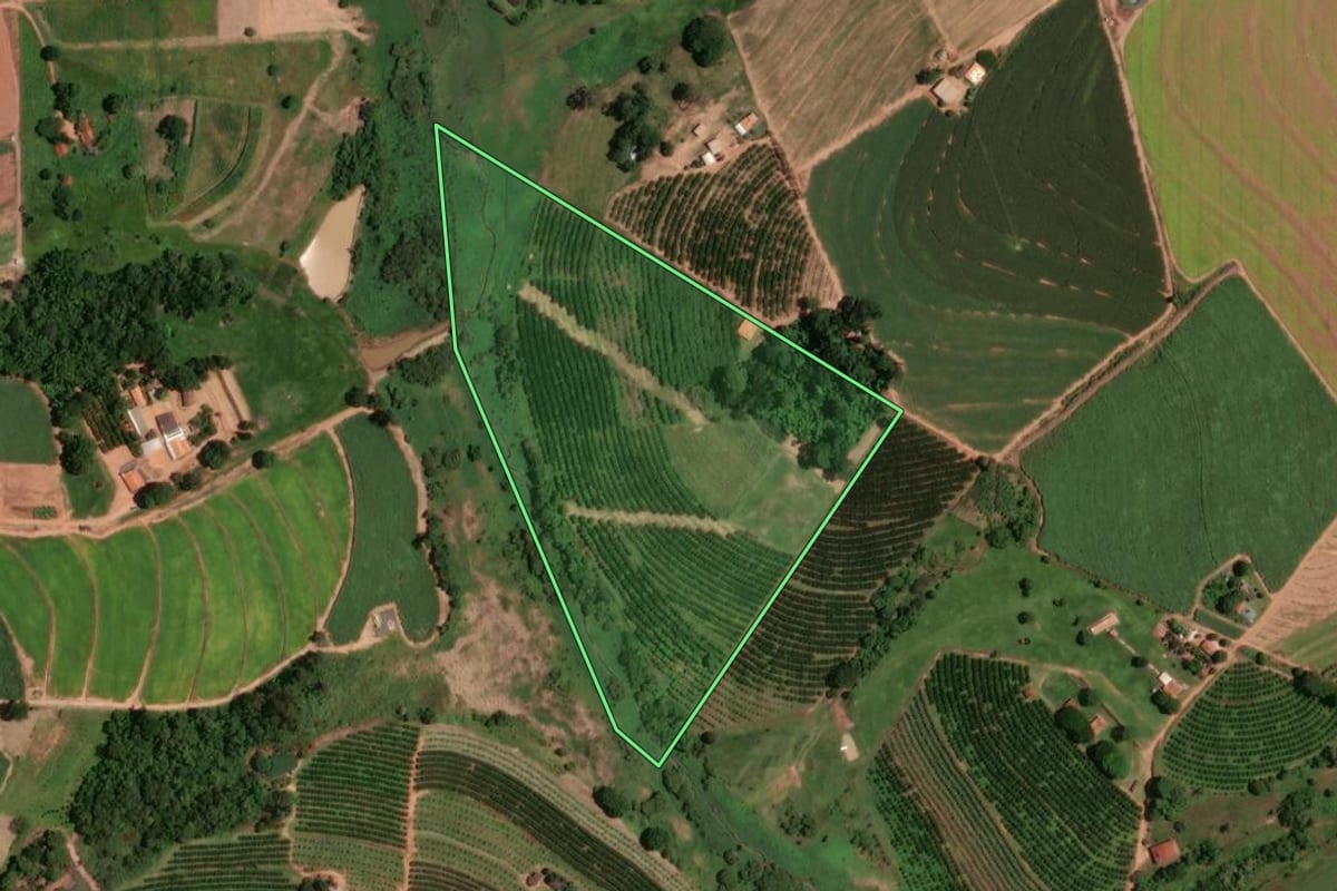 Imagem de satélite do imóvel rural em Monte Alto (SP), com o contorno declarado no CAR desenhado por cima.