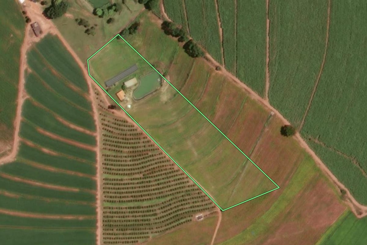 Imagem de satélite do imóvel rural em Monte Alto (SP), com o contorno declarado no CAR desenhado por cima.