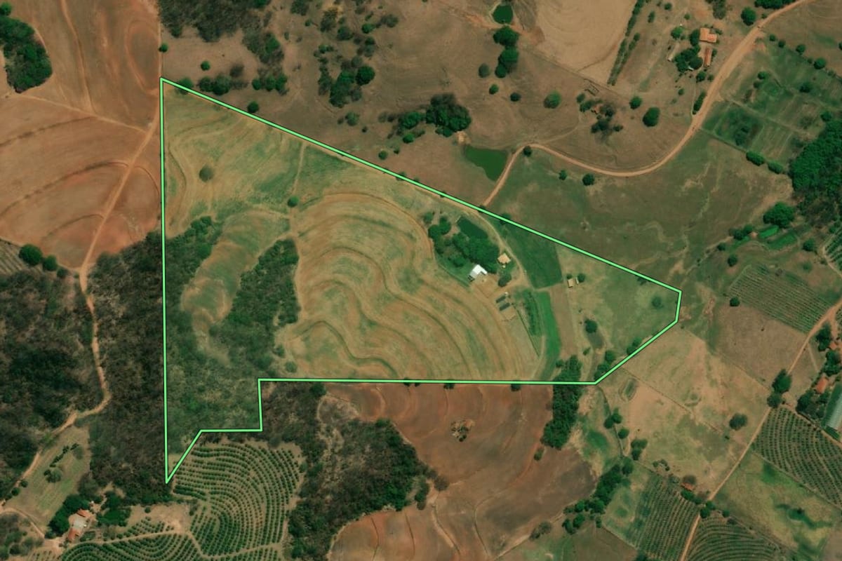 Imagem de satélite do imóvel rural em Monte Alto (SP), com o contorno declarado no CAR desenhado por cima.