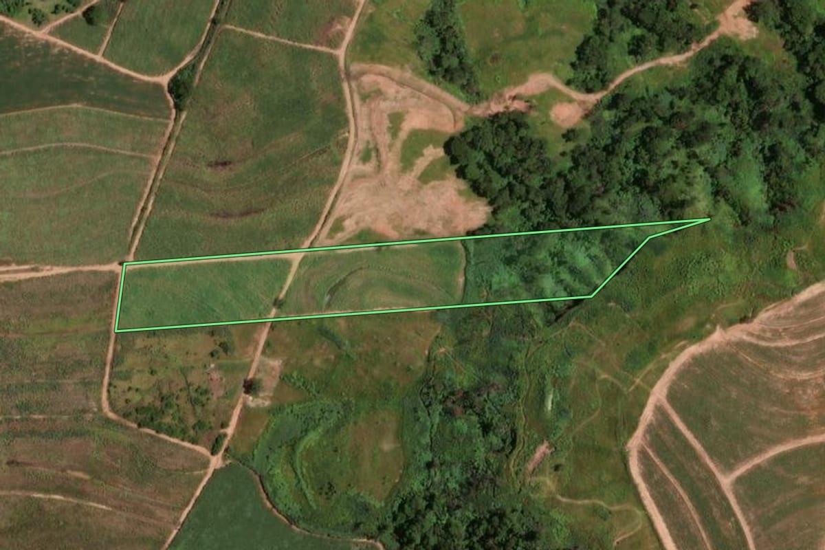 Imagem de satélite do imóvel rural em Monte Alto (SP), com o contorno declarado no CAR desenhado por cima.