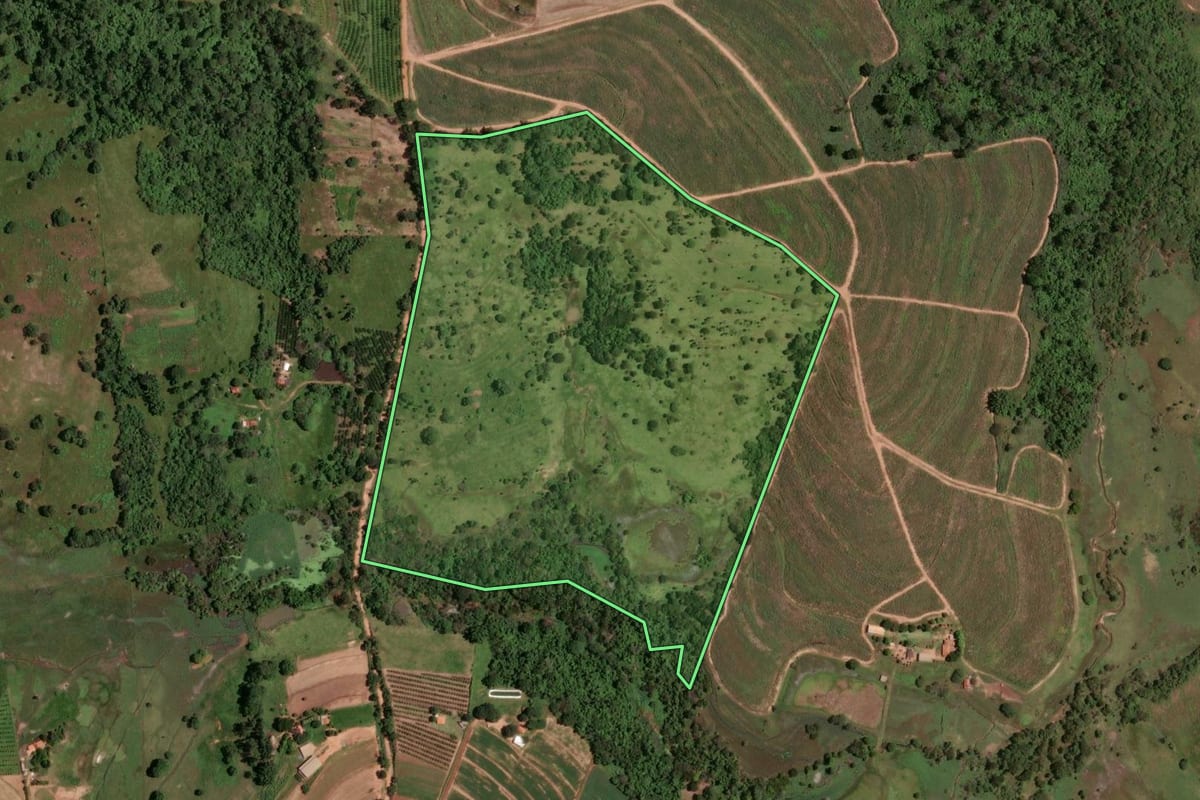 Imagem de satélite do imóvel rural em Monte Alto (SP), com o contorno declarado no CAR desenhado por cima.