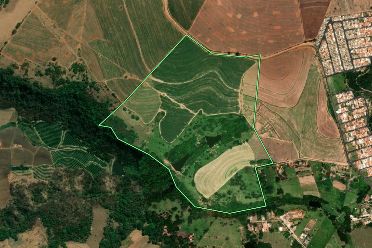 Imagem de satélite do imóvel rural em Monte Alto (SP), com o contorno declarado no CAR desenhado por cima.