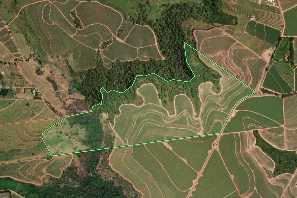 Imagem de satélite do imóvel rural em Monte Alto (SP), com o contorno declarado no CAR desenhado por cima.