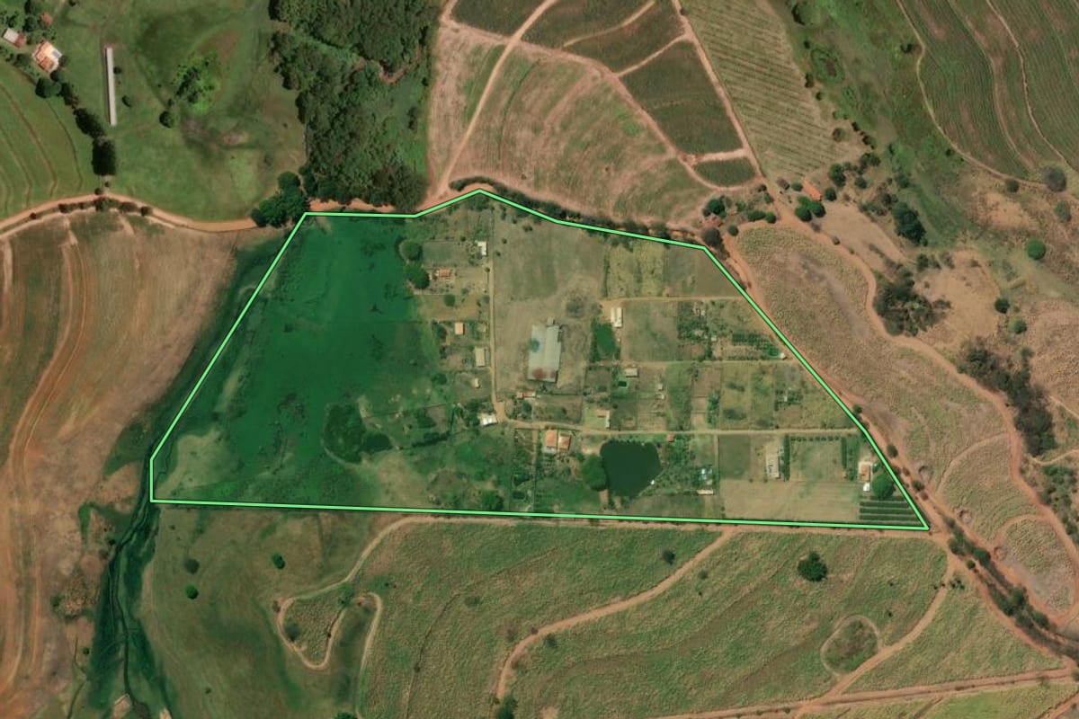 Imagem de satélite do imóvel rural em Monte Alto (SP), com o contorno declarado no CAR desenhado por cima.