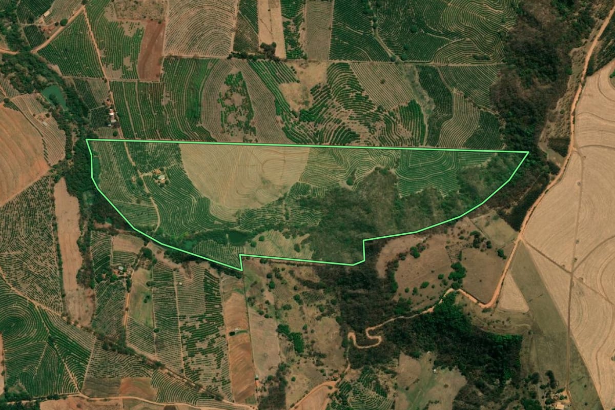 Imagem de satélite do imóvel rural em Monte Alto (SP), com o contorno declarado no CAR desenhado por cima.